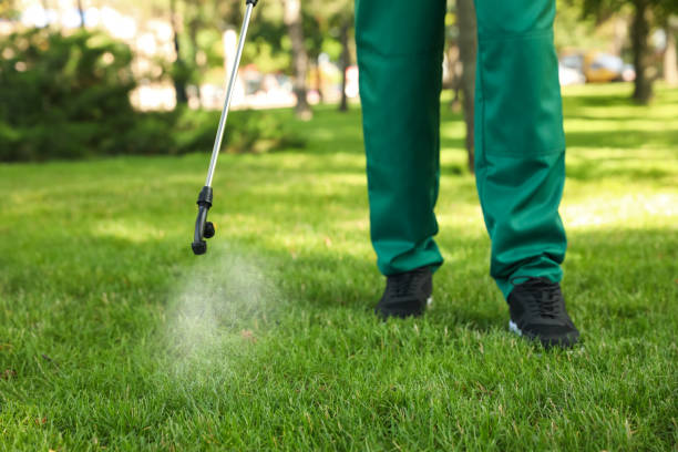 Best Insect Control  in Sonoma, CA