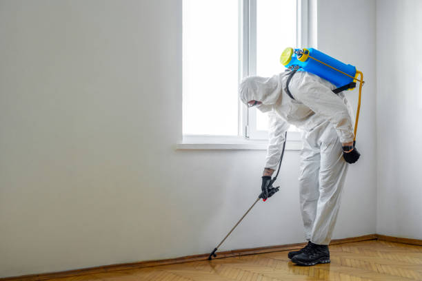 Best Pest Removal Services  in Sonoma, CA